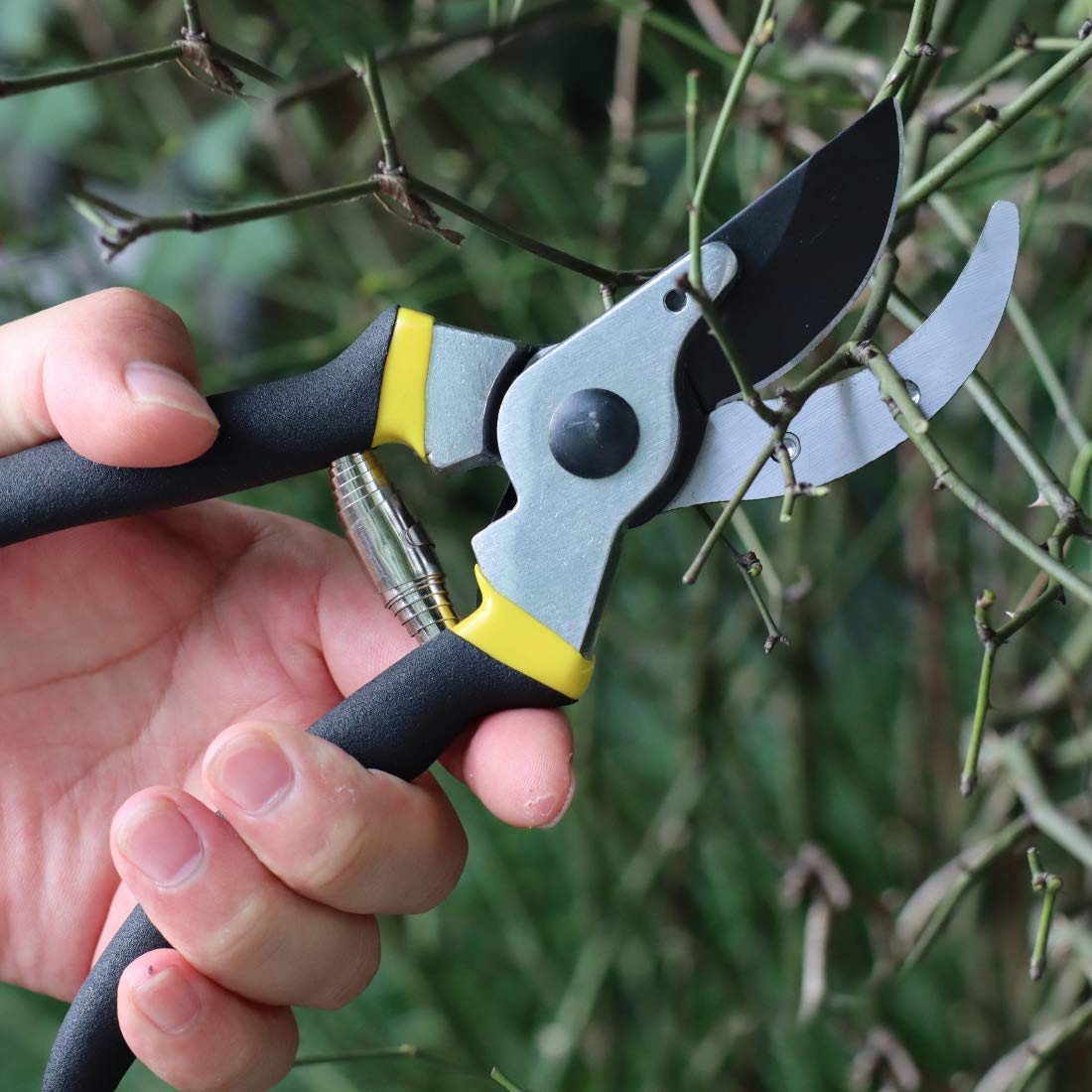 Professional Pruning Shears
