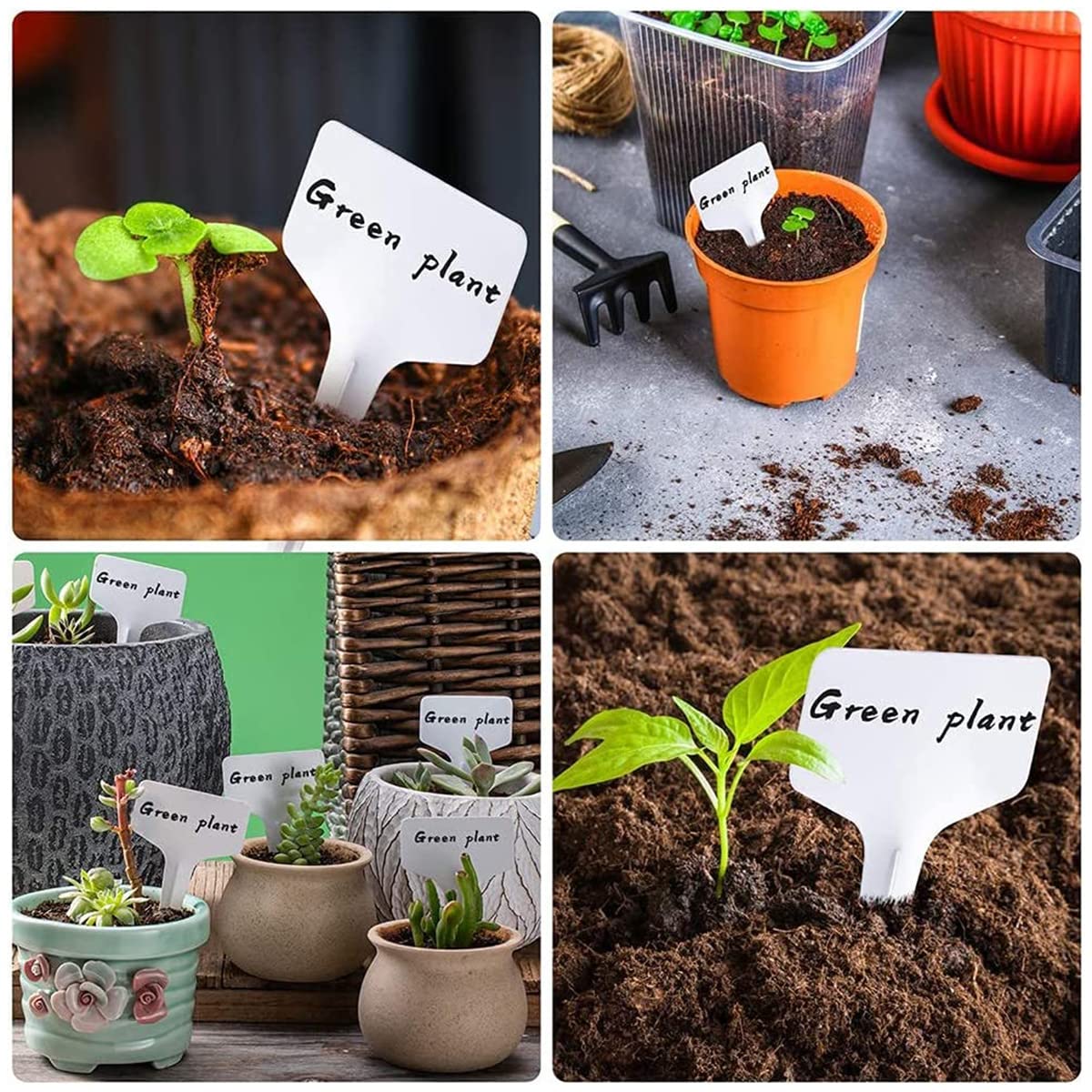 Plant Labels Set (50 Pack)